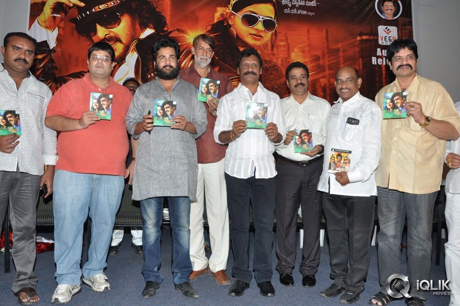 Swiss-Bank-Ki-Daredi-Movie-Audio-Launch